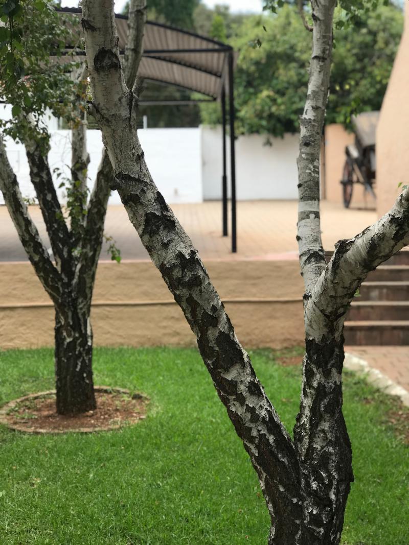 Glenalmond Hotel Sandton Zewnętrze zdjęcie